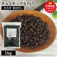 チョコチップ67LT　1kg