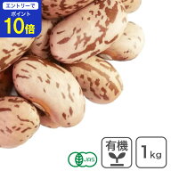 【24時間限定 エントリーで店内全品ポイント10倍！ 5/15 0:00〜5/15 23:59】 オーガニック ピントビーン…
