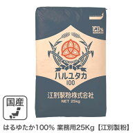 はるゆたか100％ 業務用 25Kg 江別製粉 パン用小麦粉 北海道産はるゆたか小麦100% ハルユタカ小麦 北海道…