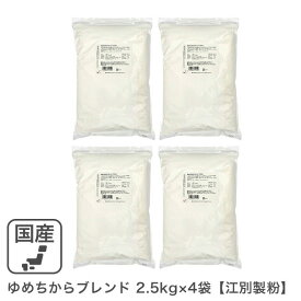 ゆめちからブレンド 10kg（2.5kg×4袋） 江別製粉 北海道産小麦 ユメチカラ 強力粉 パン用小麦粉 業務用
