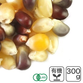 オーガニック・マルチカラーポップコーン 300g アメリカ産 ポップコーン豆 とうもろこし 手作り 無添加 有機JAS認証