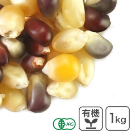オーガニック・マルチカラーポップコーン 1Kg アメリカ産 ポップコーン豆 とうもろこし 手作り 無添加 有機JAS認証 大容量 業務用