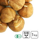 オーガニック・ヘーゼルナッツ（皮付き・生） 1Kg トルコ産 生ヘーゼルナッツ 無塩