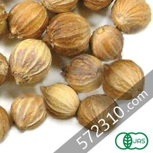 I[KjbNERA_[V[h 500g H[NXg[fBO VOX SPICE L@JASF L@