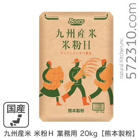 九州産米 米粉H 業務用 20kg ミズホチカラ 熊本製粉 製パン用米粉 国産 業務用バルク商品