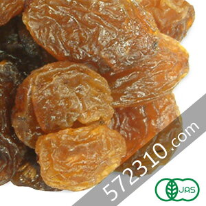 I[KjbNET^i[Y Ɩp 10Kg I[KjbN [Y L@ [Y L@gRS[f[Y ICR[g mIC ƖpoNi