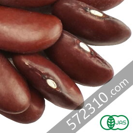 ◆在庫限りで販売休止◆オーガニック・レッドキドニービーンズ 300g アメリカ産 赤いんげん豆 有機JAS認証 ナチュラルキッチン