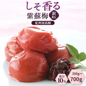 700g×2wŔ~|v[gI鎇h~ 10  IB썂~ Y 썂~ Ԃ~ IB썂~Ԃ~ a̎R ׂ~  󂠂~ 킯~ n~ ~ 