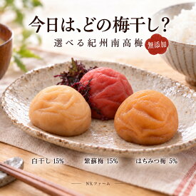 「10%OFFクーポン配布中」無添加 梅干し 訳あり 白干し 梅 塩分15％ 400g 800g 紀州 南高梅 国産 うめぼし 完熟梅 しらぼし 熱中症対策 すっぱい 梅 グルメ 梅干し 免疫 塩分補給 はちみつ梅 昔ながら 酸っぱい ごはんのお供 梅干 産地直送 減塩 健康 美容