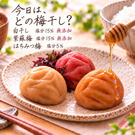 「10%OFFクーポン配布中」無添加 梅干し 訳あり 白干し 梅 塩分15％ 400g 800g 紀州 南高梅 国産 うめぼし 完熟梅 しらぼし 熱中症対策 すっぱい 梅 グルメ 梅干し 免疫 塩分補給 はちみつ梅 昔ながら 酸っぱい ごはんのお供 梅干 産地直送 減塩 健康 美容