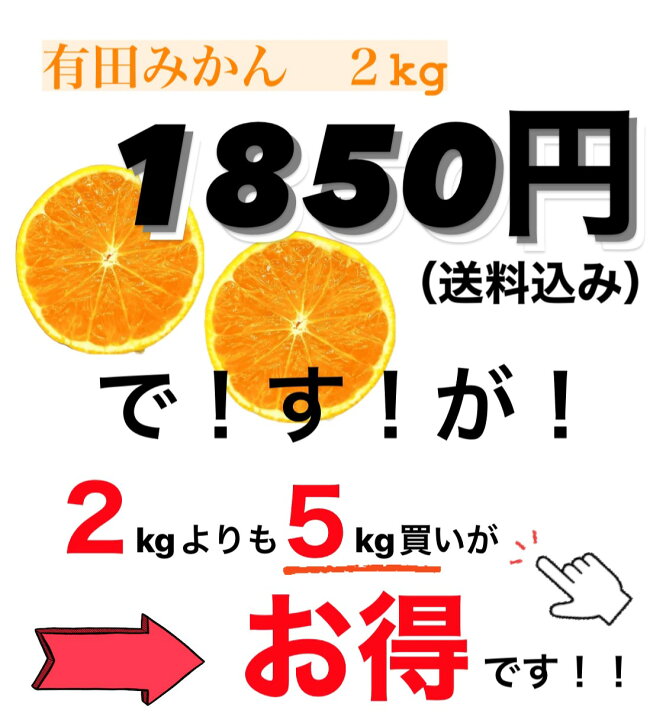 楽天市場】【 予約販売 / 数量限定 】有田みかん 和歌山県産 2kg 産地直送 温州みかん 有田ミカン 蜜柑 ミカン 和歌山 高級みかん ブランド こだわり 甘い 贈り物 旬のフルーツ 旬の果物 旬の味覚 産直 高品質 日本一の生産量 柑橘 フルーツギフト プレゼント 食品 ... 楽天市場】【 予約販売 / 数量限定 】有田みかん 和歌山県産 2kg 産地直送 温州みかん 有田ミカン 蜜柑 ミカン 和歌山 高級みかん ブランド こだわり 甘い 贈り物 旬のフルーツ 旬の果物 旬の味覚 産直 高品質 日本一の生産量 柑橘 フルーツギフト プレゼント 食品 ...