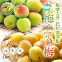 【予約販売/数量限定】 和歌山県産 紀州南高梅 選べる 青梅 完熟梅 2kg 南高梅 冷凍梅 梅ジュース用 梅干し用 梅 白干…