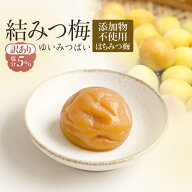 紀州南高梅　 人工甘味料・保存料不使用 はちみつ 梅干し 塩分5％ 400g×2パック　特産 自宅用 減塩 はち…