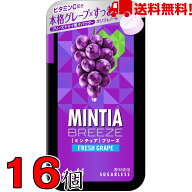 ミンティアブリーズフレッシュグレープ 30粒 16個 アサヒ MINTIA【日本全国送料無料】ネコポス（配送日時…