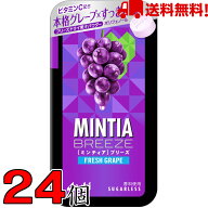 ミンティアブリーズフレッシュグレープ 30粒 24個 アサヒ MINTIA【日本全国送料無料】ネコポス（配送日時…