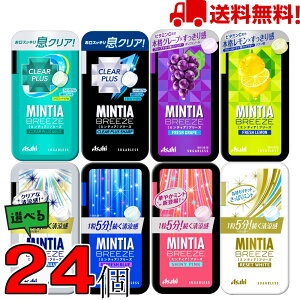 ミンティア ピンクの人気商品 通販 価格比較 価格 Com