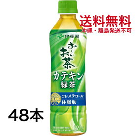 カテキン緑茶500ml 2ケース 伊藤園 2つの働きカテキン緑茶 48本 特定保健用食品 トクホ 送料無料 ※沖縄・離島発送不可 GDL