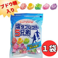 【メール便送料無料】ぶどう糖入 塩タブレット 5兄弟 【1袋】 熱中症 熱中症対策 塩分補給 塩飴 タブレッ…