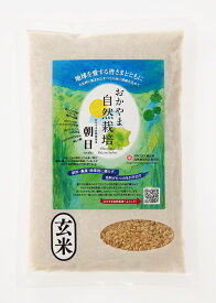 玄米 320g 朝日米 岡山県産 自然栽培 酵素玄米用 無添加 美味しい あさひ米 美味しい 玄米 送料無料