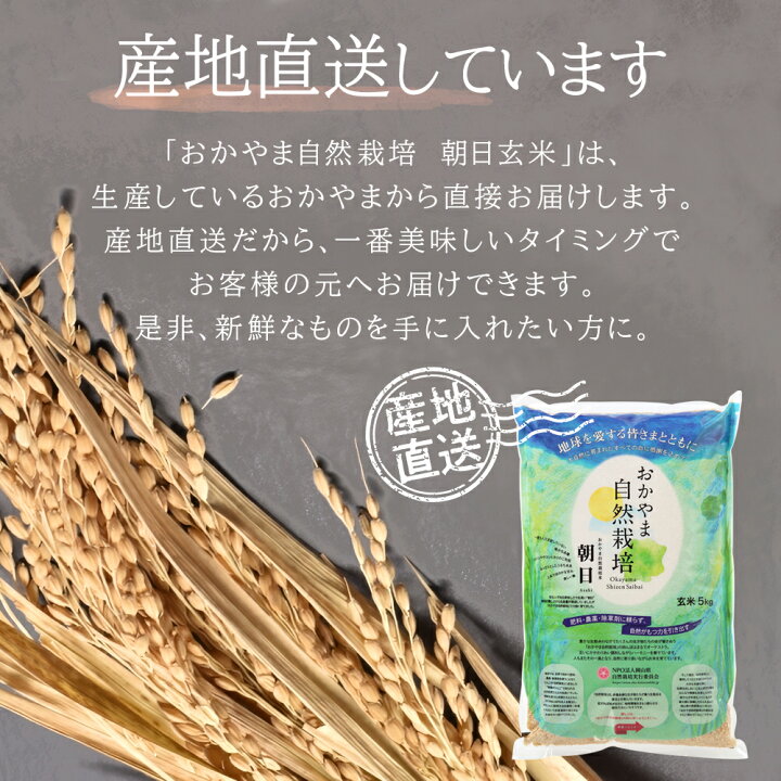 楽天市場】自然栽培 米 玄米 送料無料 新米 令和6年度産 朝日米 20kg  