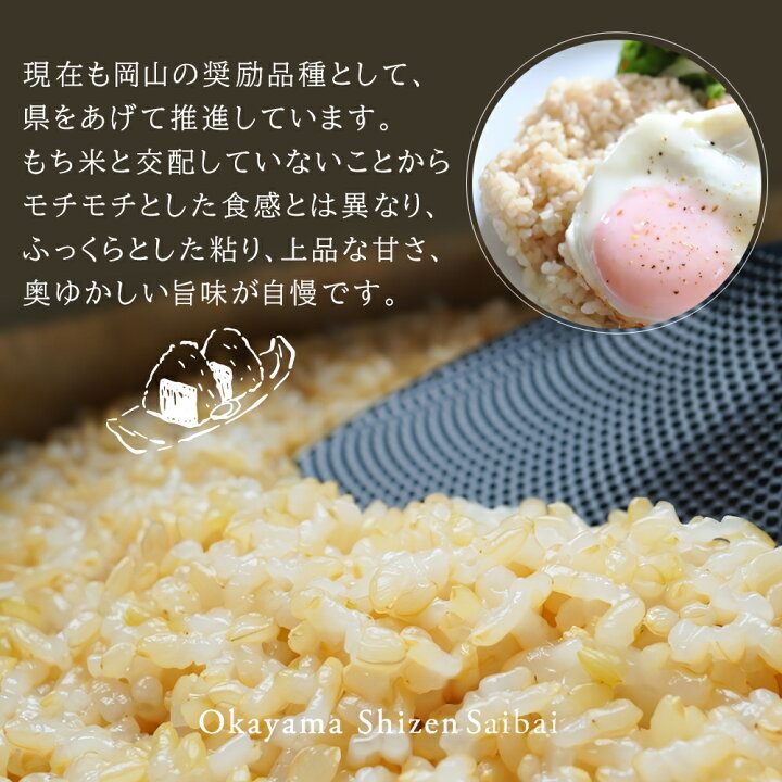 楽天市場】自然栽培 米 玄米 送料無料 新米 令和6年度産 朝日米 20kg  