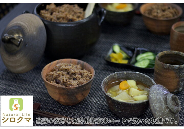 楽天市場】自然栽培 米 玄米 送料無料 新米 令和6年度産 朝日米 20kg  