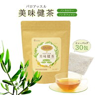 送料無料 自然農法 茶 パロアッスル 【4.3g×30包】 美味健茶 ハーブ ティー ティーバック ティーパック …