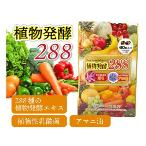  Ay 288 ֔ ʂ P _CGbg Tv _ A}j IK3 Ah{ y Tvg   Tvg r^~ ~l