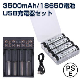 【18650電池4本＋USB充電器セット】 パナソニック製セル使用　リチウムイオン電池【NLAセレクト】