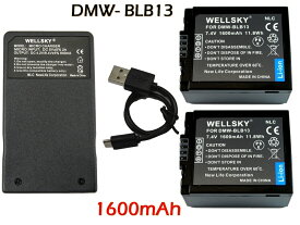 DMW-BLB13 互換バッテリー 1600mAh 2個 & [ 超軽量 ] USB Type C 急速 互換充電器 バッテリーチャージャー DE-A43A 1個 [3点セット] 純正品と同じよう使用可能 残量表示可能 Panasonic パナソニック LUMIX ルミックス DMC-GH1 DMC-G1 DMC-GF1 DMC-G2 DMC-G10