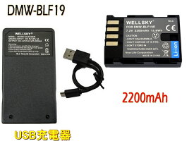 DMW-BLF19 互換バッテリー 1個 & DMW-BTC10 DMW-BTC13 [ 超軽量 ] USB Type C 急速 互換充電器 バッテリーチャージャー 1個 [ 2点セット ] [ 純正品と同じよう使用可能 残量表示可能 ] Panasonic パナソニック LUMIX ルミックス DMC-GH3 DMC-GH4