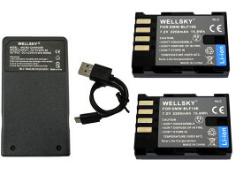DMW-BLF19 互換バッテリー 2個 & DMW-BTC10 DMW-BTC13 [ 超軽量 ] USB Type C 急速 互換充電器 バッテリーチャージャー 1個 [ 3点セット ] [ 純正品と同じよう使用可能 残量表示可能 ] Panasonic パナソニック LUMIX ルミックス DMW-BGGH3 DMW-BGG9