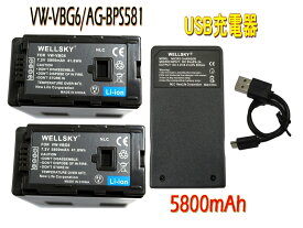 VW-VBG6 VW-VBG6-K AG-BPS581 互換バッテリー 2個 & 超軽量 USB Type C 急速 互換充電器 バッテリーチャージャー 1個 [3点セット] 残量表示可能 純正品と同じよう使用可能 Panasonic パナソニック AG-AC130 AG-HMC155 AG-HMC45 AG-HMC75
