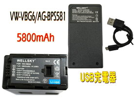 VW-VBG6 VW-VBG6-K AG-BPS581 互換バッテリー 1個 & 超軽量 USB Type C 急速 互換充電器 バッテリーチャージャー 1個 [2点セット] 残量表示可能 純正品と同じよう使用可能 Panasonic パナソニック AG-AF105 AG-AC160A AG-AC130A AG-HMC45A AG-AC160
