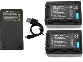 VW-VBT190 VW-VBT190-K 互換バッテリー 2500mAh 2個 ＆ [ 超軽量 ] USB Type-C 急速 互換充電器 バッテリーチャージャー VW-BC10 VW-BC10-K 1個 [ 3点セット ] [ 純正品と同じよう使用可能 残量表示可能 ] Panasonic パナソニック HC-WXF990M HC-WX995M HC-V495M