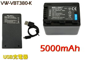 VW-VBT380 VW-VBT380-K 互換バッテリー 5000mAh 1個 ＆ [ 超軽量 ] USB Type-C 急速 互換充電器 バッテリーチャージャー VW-BC10 VW-BC10-K 1個 [ 2点セット ] [ 純正品と同じよう使用可能 残量表示可能 ] Panasonic パナソニック HC-V620M HC-V720M HC-VX2M