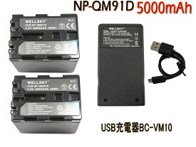 NP-QM91D NP-FM90 互換バッテリー 2個 & [ 超軽量 ] USB Type C 急速 互換充電器 バッテリーチャージャー BC-VM10 1個 [ 3点セット ] [ 純正品と同じよう使用可能 残量表示可能 ] SONY ソニー DCR-DVD301 DCR-DVD101 DCR-DVD201 HDR-HC1 HDR-UX1 HDR-SR1 DCR-HC88