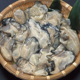 【送料無料】殻付！能登中島名産牡蠣　1斗缶（たっぷり約80〜100個）　【牡蠣鍋　カキフライ　他　いろいろ】牡蠣ナイフ付き！