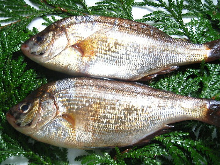 楽天市場】飛び出したらゴメンナサイ! ぴっちぴちの鮮魚セット 3番【福島・宮城・岩手県は送料無料で応援します!】 : んまーいmon屋 楽天市場】飛び出したらゴメンナサイ! ぴっちぴちの鮮魚セット 3番【福島・宮城・岩手県は送料無料で応援します!】 : んまーいmon屋