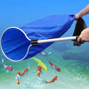  a30cm50cm V[gn ؂t }`lbg ^   ނ W[
