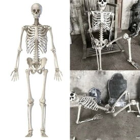 ☆等身大サイズ☆ リアルな見た目 人体模型 骨格標本 約170cm 骸骨 ドクロ スケルトン ハロウィン ホラー