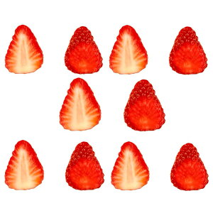 {聙 10Zbg HiTv   Ɩp t[c ʕ JtF Lb`J[ N[v fBXvC U