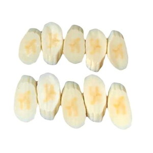 {聙 10Zbg HiTv oii Ɩpt[cTv ʕ JtF Lb`J[ N[v fBXvC U