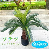 楽天市場】蘇轍の通販