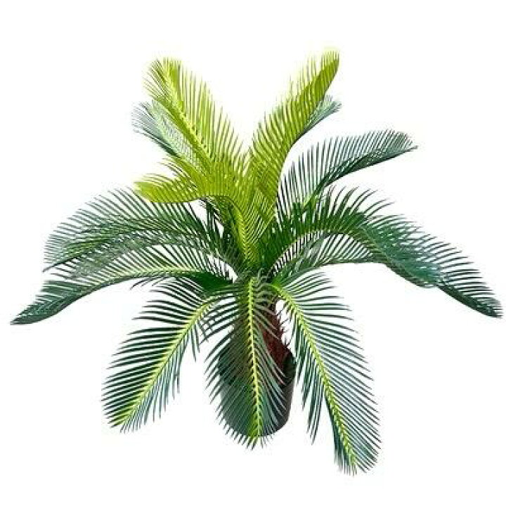 楽天市場】☆高さ80cm☆ 造花 ソテツ 蘇轍 フェィクグリーン 観葉植物 