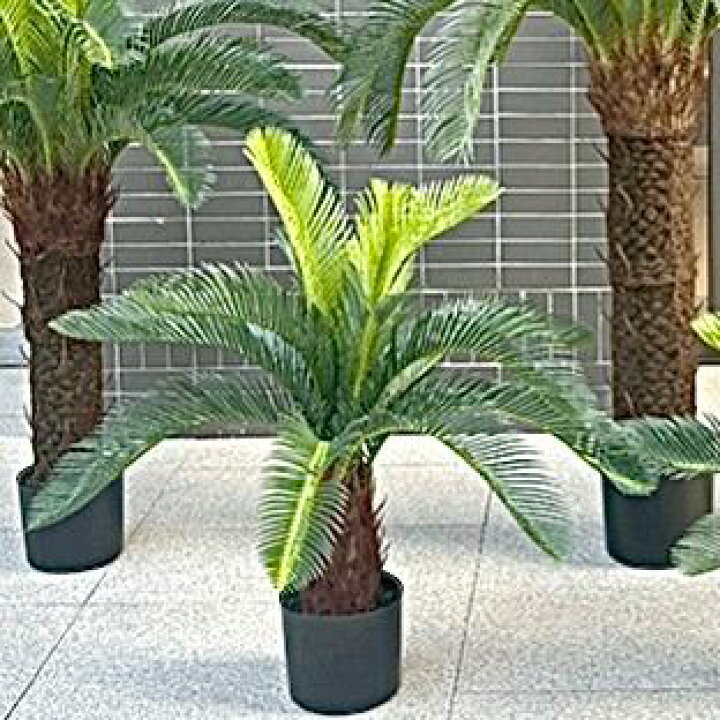 楽天市場】☆高さ80cm☆ 造花 ソテツ 蘇轍 フェィクグリーン 観葉植物 