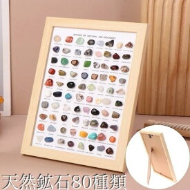 ☆80種類入り☆ 天然石コレクション 天然鉱石 標本 フレーム入り 石造 宝石 鉱物 額縁 クリスタル インテリア