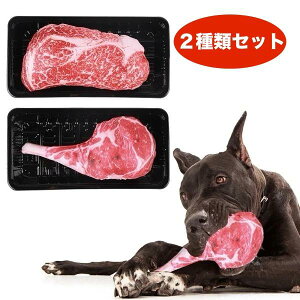 AȌځ 2ރZbg  ʂ L̊ނƂĂ Xe[L g}z[N CX^f ybg J~J~