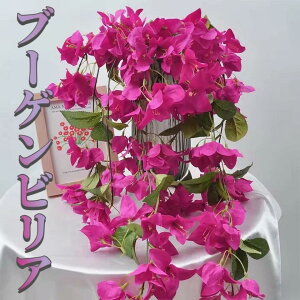tFCNO[ u[QrA  OOK S55cm ԎF }[^  썑 ][g ϗtA ډB K[fjO  ̓