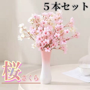 ��5�{�Z�b�g�� ���� �� ������ ���̖� �} �Ԃт� ���OOK �s���N ���{ �t�F�C�N�O���[�� �a�� ���r���O ���e�� �J�t�F